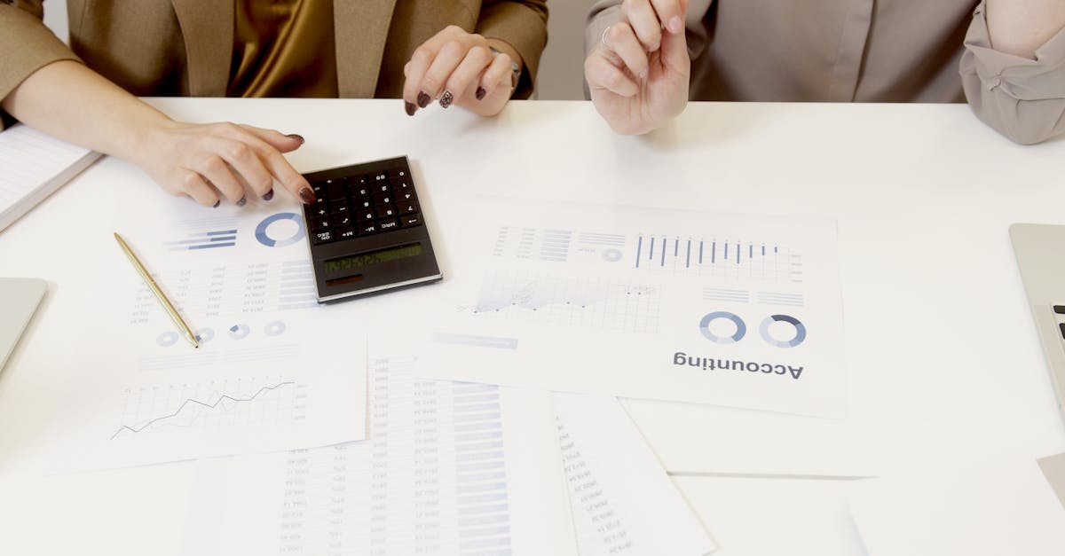 Accounting audit calculator