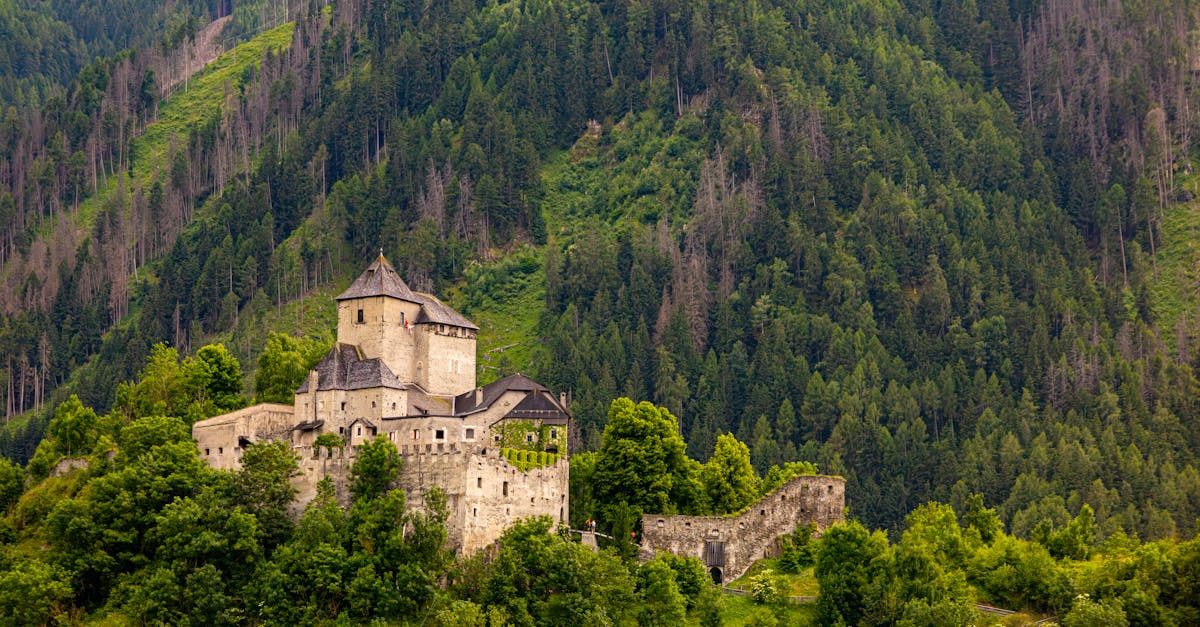 Alpine castle mountains