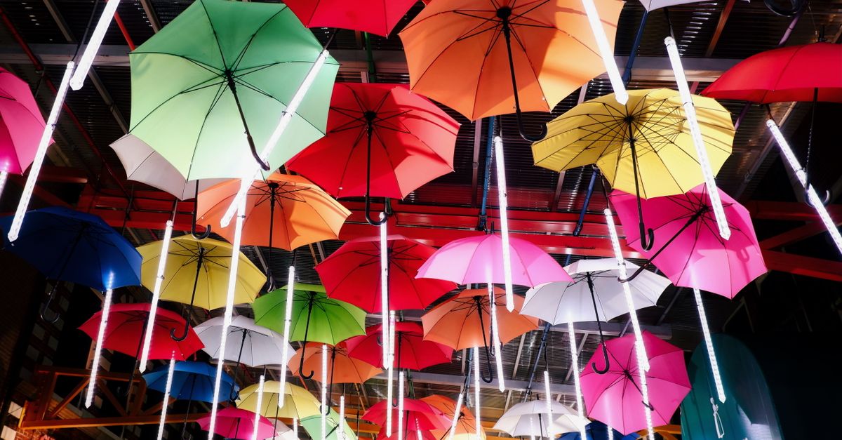 Open umbrella concept
