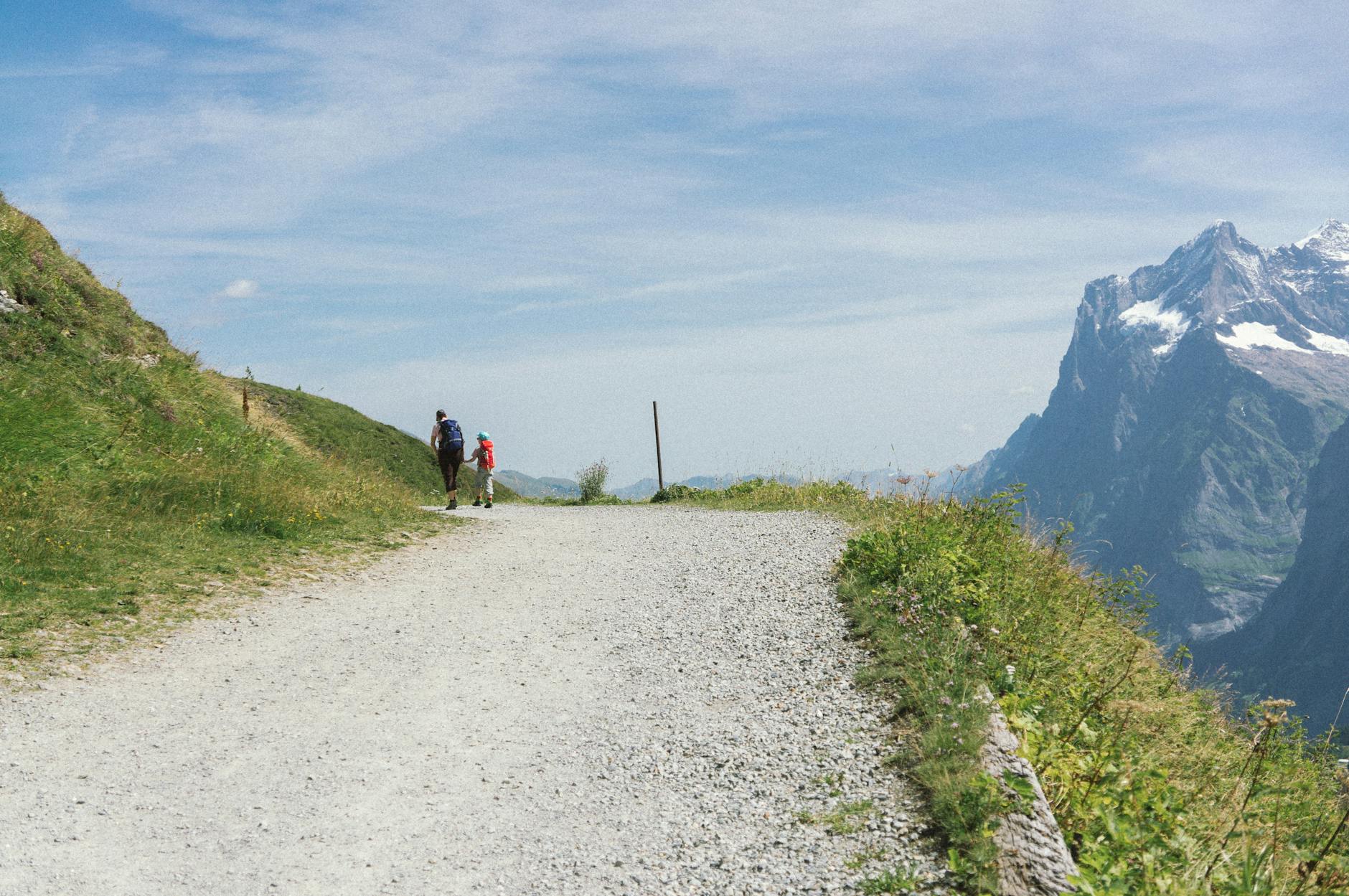 Swiss Family Foundation and Succession Across Generations
